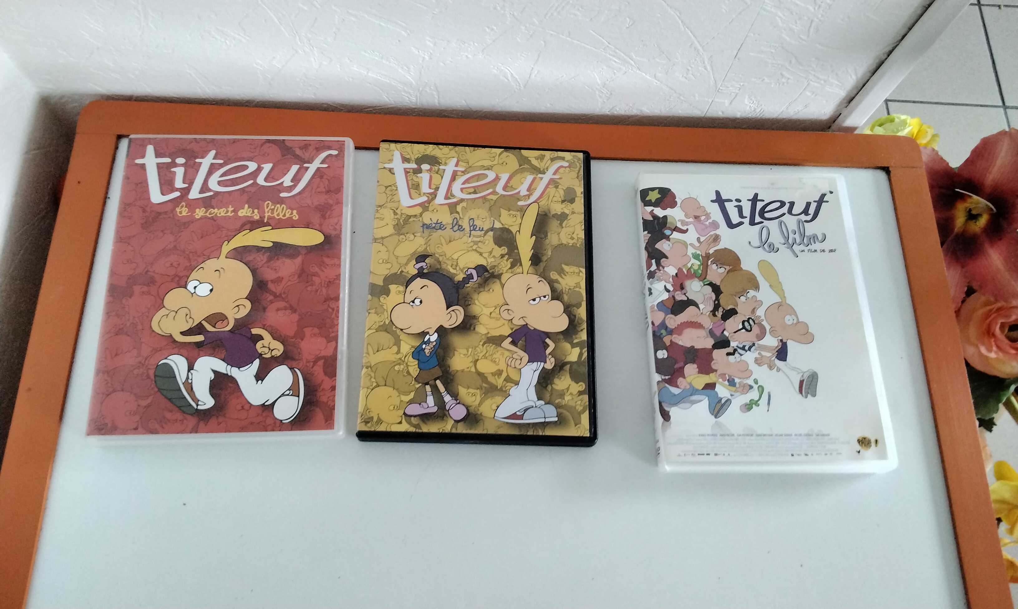 DVD Titteuf