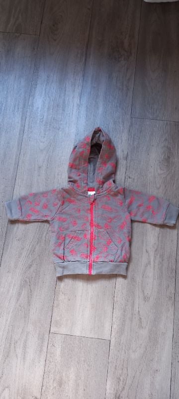Gilet à capuche