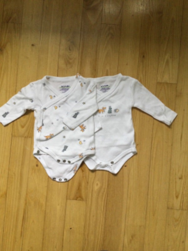 Lot 2 bodies
