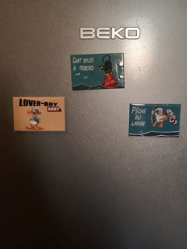 Lot de 3 magnet aimant décoratif pour frigo