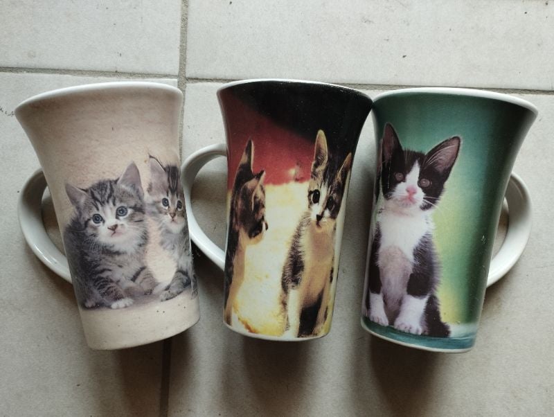 Lot 3 mugs bébés chats