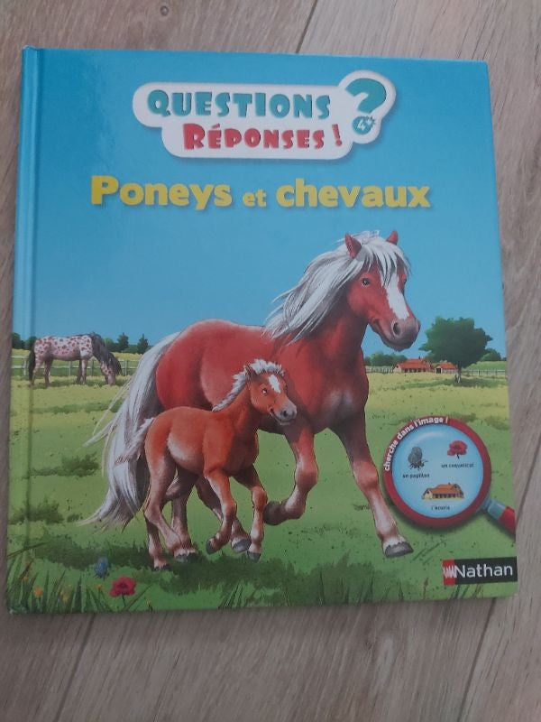 Questions réponses chevaux et poneys