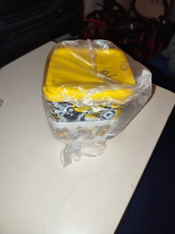 2 boîtes Minions