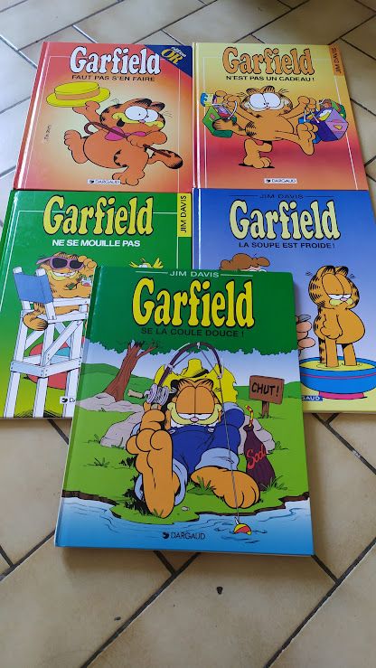 bd garfield
