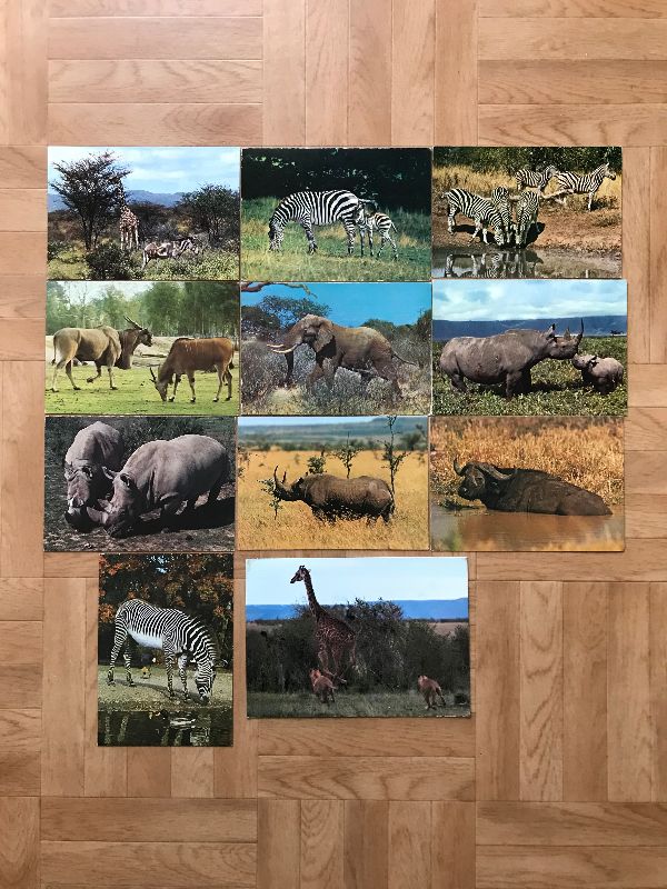 Lot ancienne carte postale animaux savane, Afrique