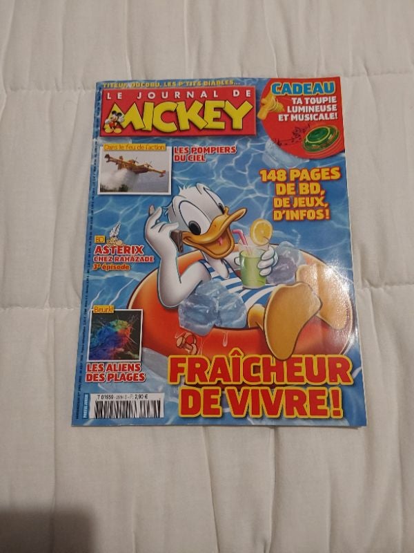 Livre journal mickey