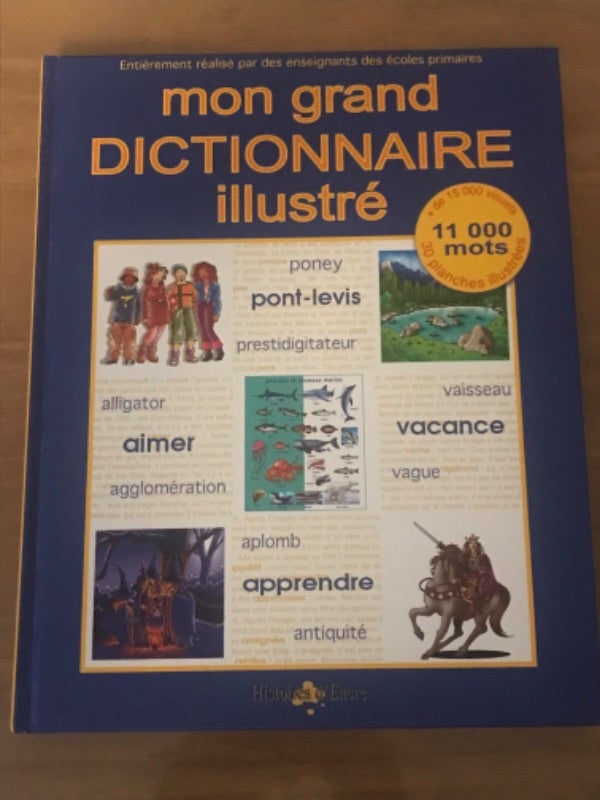 Mon grand dictionnaire illustré 8 ans