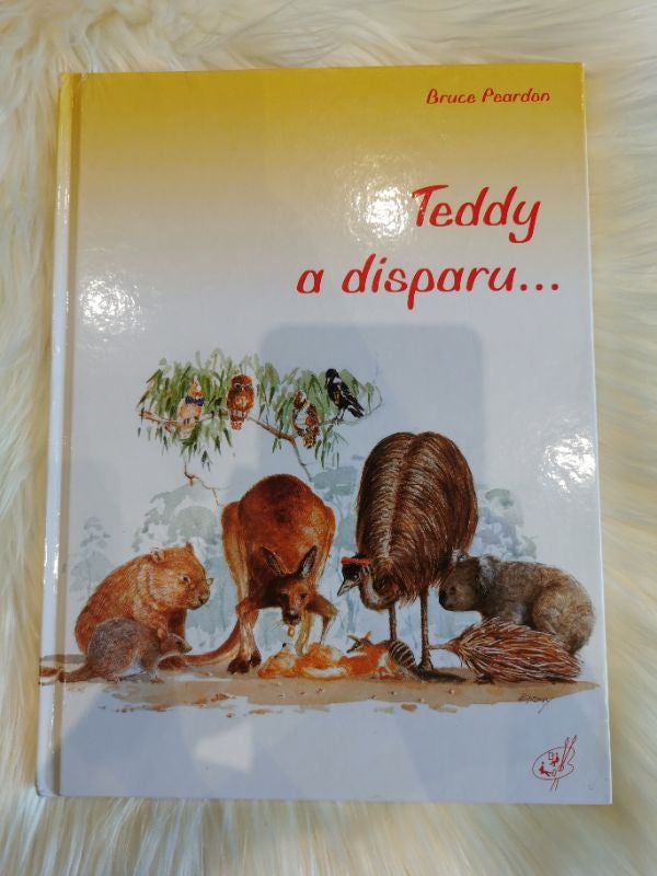 Livre Teddy a disparu...