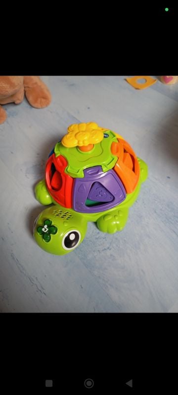 Tortue tourni forme