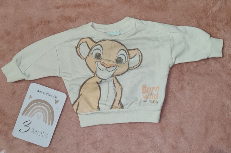 Sweat Disney