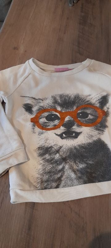 Pull chat lunettes