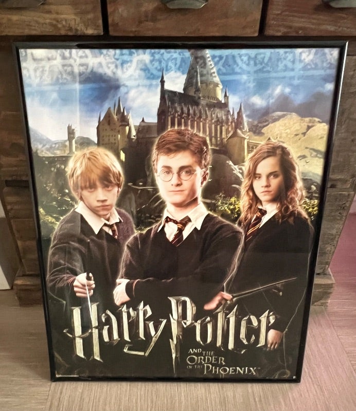 Affiche Harry Potter Encadrée