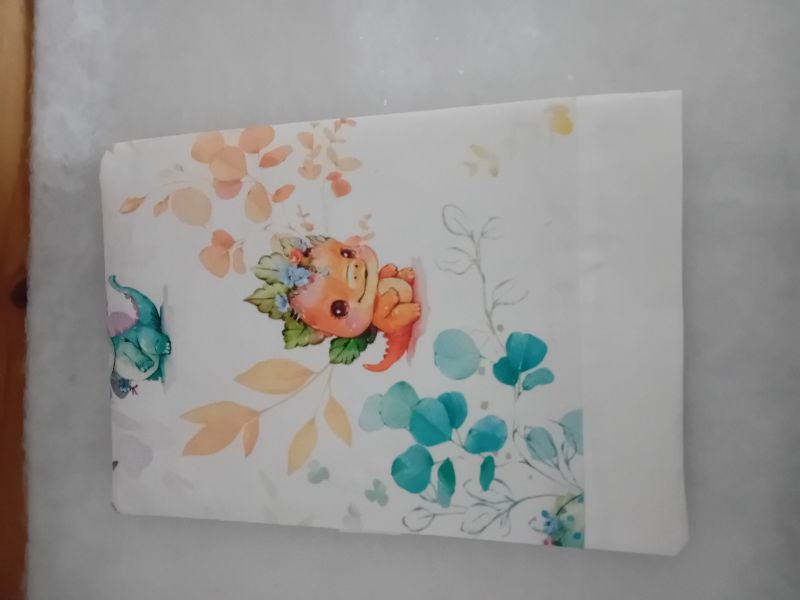 Protégé carnet de santé