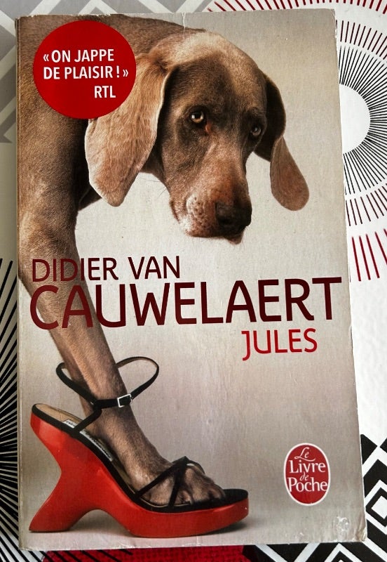 Livre roman Jules