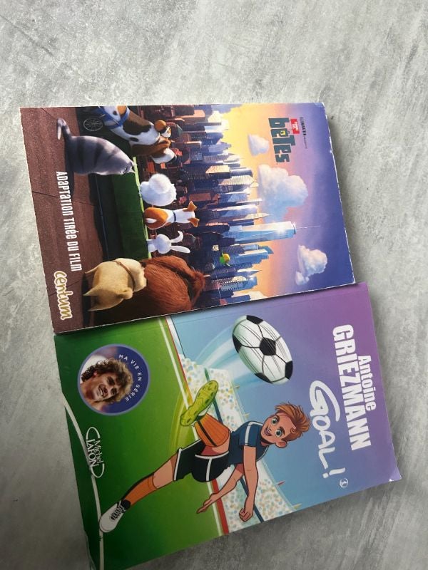 lot 2 livres antoine Griezmann et comme des bêtes