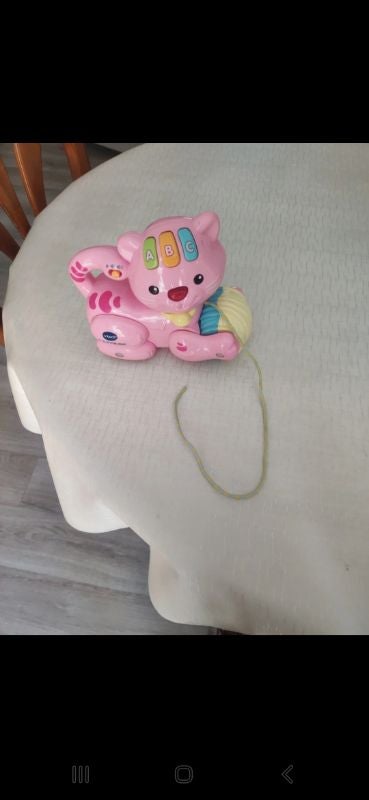 Petit chat