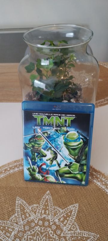 Dvd Blu-ray Les tortues ninja