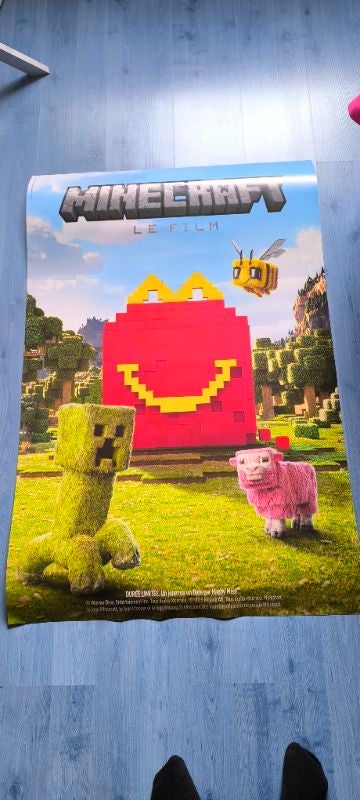 PLV affiche Minecraft mc do