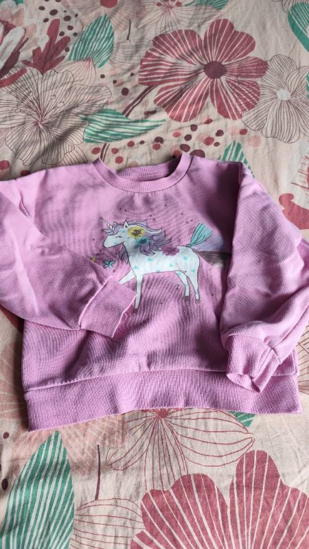 Pull licorne