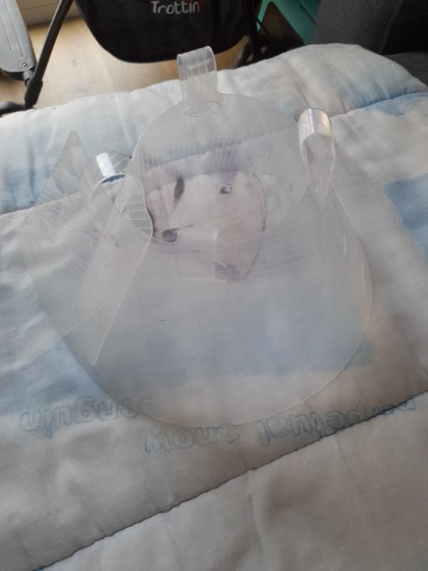 Collerette chat ou petit chien